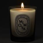 Ароматическая свеча Diptyque, 190G - фото 4