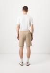 Шорты Lacoste Shorts, Viennese/Beige - фото 3