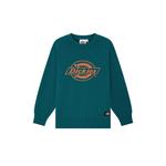 Свитер для школьников Dickies, розовый - фото 6
