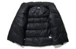 Куртка THE NORTH FACE 1992 Nuptse Jacket NJ1DL53A, черный - фото 3