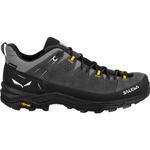 Мужские кроссовки Alp Trainer 2 GTX Salewa, серый - фото 4