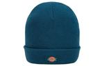 Шапка Unisex Dickies, синий - фото