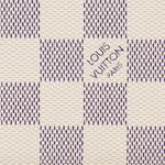 LOUIS VUITTON Клеменс кошелёк Дамиер Азур белый - фото 5