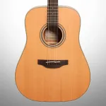 Акустическая гитара Takamine GD20 Dreadnought - фото