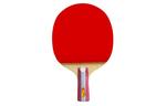 Ракетка для пинг-понга DOUBLE FISH, shakehand grip+penhold grip - фото 4