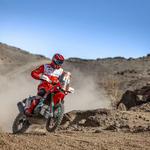 SIDI Велосипедные кроссовые ботинки crossfire iron toe version graduation level, размер 42 - фото 5