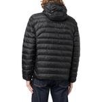 Пуховая куртка Polo Ralph Lauren, черная - фото 5