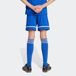 Обычные спортивные штаны ADIDAS PERFORMANCE Squadra 25, Royal Blue - фото 6
