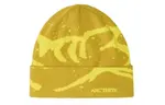 Шапка Arcteryx, желтый / салатовый - фото
