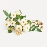 Мини дикий искусственный цветок El Corte Inglés, крем - фото 2