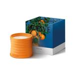 Свечи и восковые пластины LOEWE, оранжевый - фото