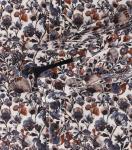 Рубашка CASAMODA Freizeit, темно красный - фото 4