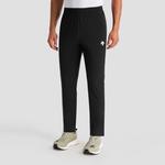 Тренировочные повседневные брюки мужские DESCENTE, LG-LIGHT GRAY - фото 9