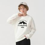 Свитшот школьный Jeep, цвет хиттер грей - фото 4