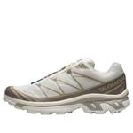 Кроссовки SALOMON XT-6 'Vanilla Ice Iron Etherea', бежевый - фото