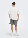 Only & Sons Шорты Regular 'ONSLuca' в сером цвете - фото 4