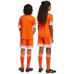 Детские шорты adidas Squadra 25 - фото 6