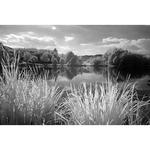 Фильтр B+W 830/093 IR Black Red Filter (39mm) 66-1102772 - фото 6