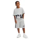 Шорты Calvin Klein Jeans LVCKSJC37B, серый - фото 3