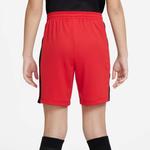 Дети Шорты Nike, красный - фото 5