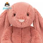Плюшевый башфул соррел кролик JELLYCAT - фото 8