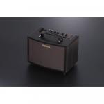 Гитарный усилитель BOSS AC-22LX 10W Acoustic/Electric Stereo Combo Amplifier - фото 5