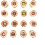 Аудиозапись Гусеница small foot - фото 4