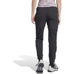 Брюки Terrex Xperior Light Adidas, черный - фото 3