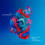 Укрепляющий ночной крем Blue Peptides Uplift Night Biotherm, 50 ml - фото 4