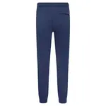 Спортивные брюки стандартного кроя Guess, синий - фото 2