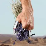 Туалетная вода K от 50 мл Dolce&Gabbana - фото 5