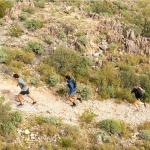 Рюкзак Blazek 10 л Ultimate Direction Ultimate Direction, Onyx - фото 5