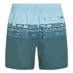 Шорты для плавания O´neill Cali Stripe 16´´, синий - фото 2