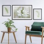 Картина Bilderwelten Weiße Nigella II, белый - фото 4