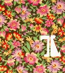 Хлопковые спортивные штаны Chamaleon The Animals Observatory, разноцветный - фото 2