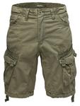 Тканевые шорты REPUBLIX, оливковый - фото