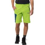 Шорты glastal shorts m Jack Wolfskin, зеленый - фото 2