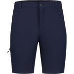 Шорты Бервин Icepeak, цвет dunkel blau - фото