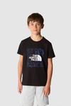 Детская футболка с принтом The North Face, черный - фото