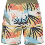 PROTEST Плавательные шорты M PRTADDO BEACH SHORT - фото 2