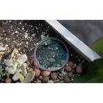 Фильтр Haida Premium Brass Shockproof UV Filter (77mm) HD4799-77 - фото 6