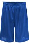 Шорты C2 Sport Mesh 9, цвет royal - фото