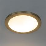 QAZQA - Современный потолочный светильник для наружного освещения I Потолочный светильник I Лампа I свет золото I латунь 41 см IP44 - Наружное освещение Yuma I - круглая сталь - Подходит для светодиодов E27 - фото 8