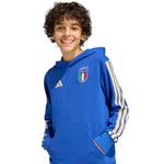 Adidas Performance Спортивная толстовка 'FIGC KIDS HD' в синем цвете - фото 3