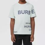 Футболка детская Burberry, серый-синий - фото 3