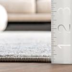 Ковер nuLOOM, 366 x 458 см, Rio Transitional Farmhouse, Aqua - фото 2