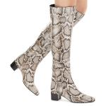 Джузеппе Занотти Дорин Giuseppe Zanotti, мультиколор - фото 2