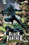 Black Panther: Panther's Quest (Marvel Universe) - фото