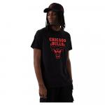Футболка New Era Chicago Bulls NBA Foil, черный - фото