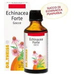 Theiss Echinacea Ft Drops50 мл Dr. Theiss - фото